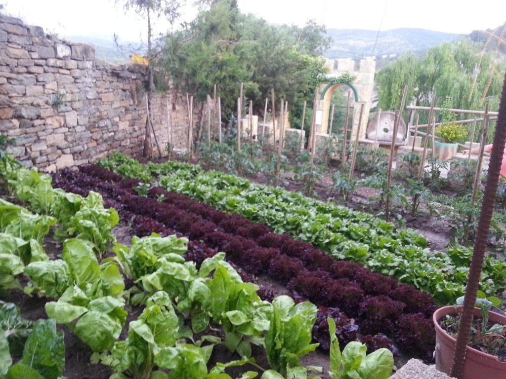 Las Bodegas De Claveria El Humo de Muro Extérieur photo